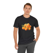 Sweet fruits collection: Ripe Apricots Pile