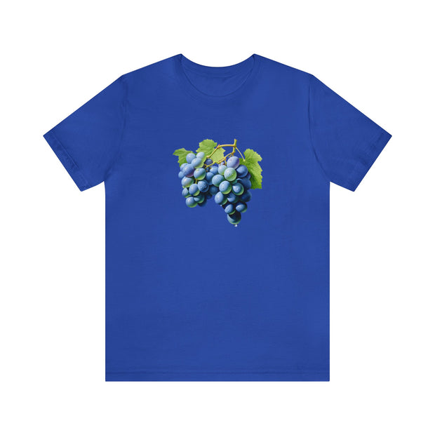 Sweet fruits collection: Blue grapes branches