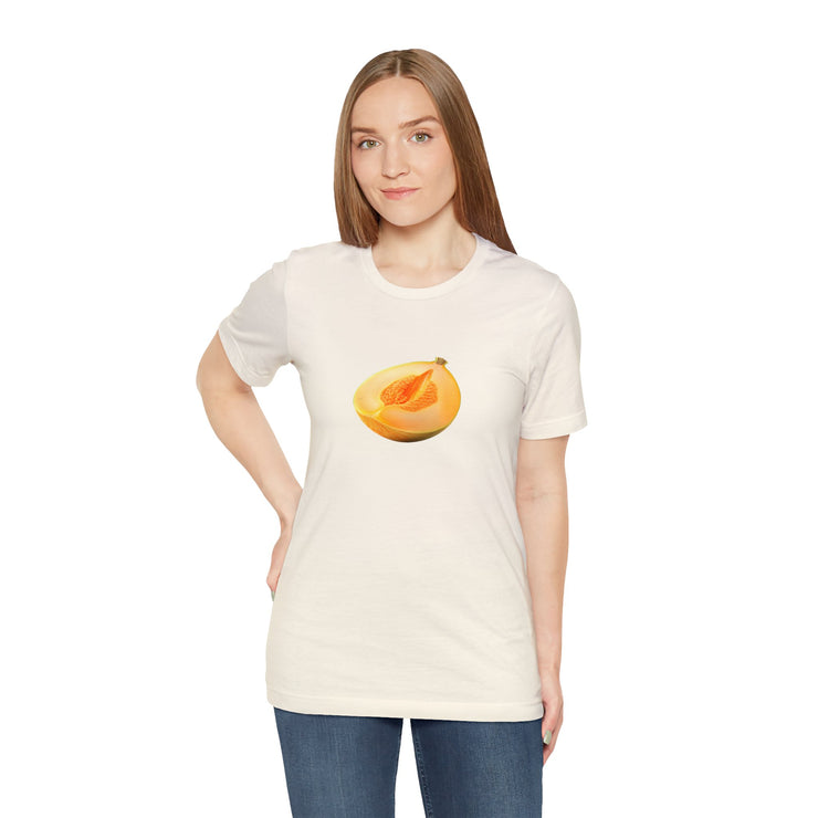 Sweet fruits collection: Yellow Melon Slice