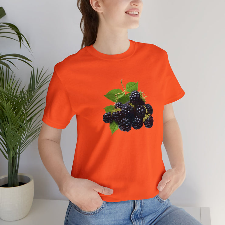 Sweet fruits collection: Ripe Blackberries Branch