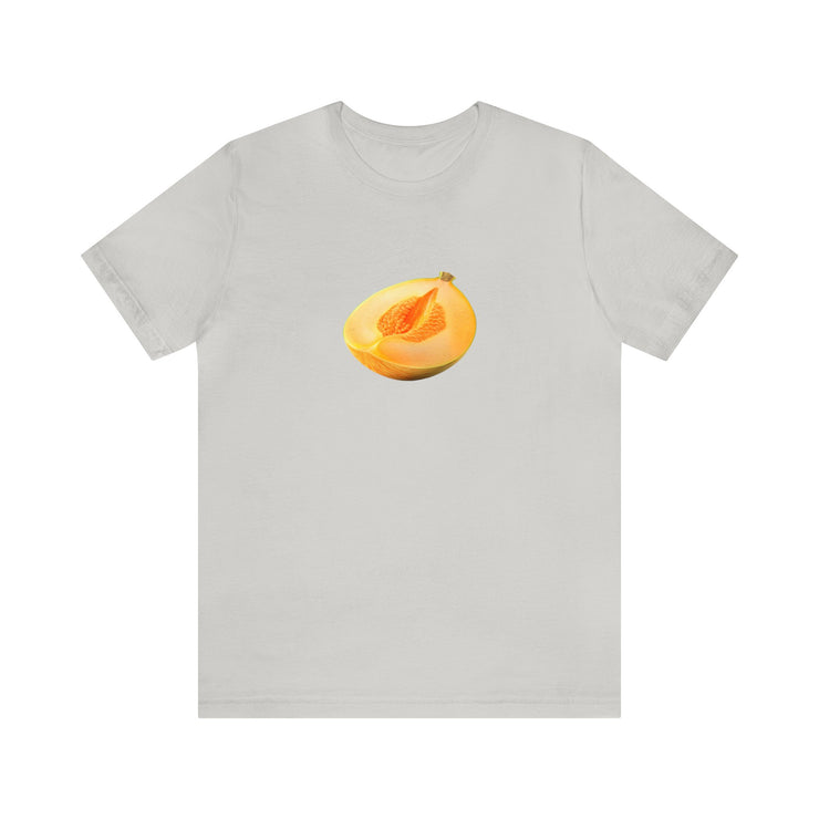 Sweet fruits collection: Yellow Melon Slice