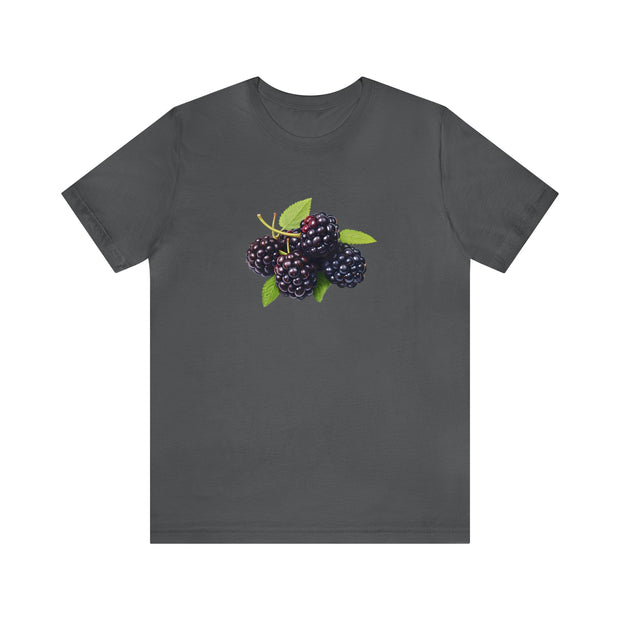 Sweet fruits collection: Ripe Brambles Branch