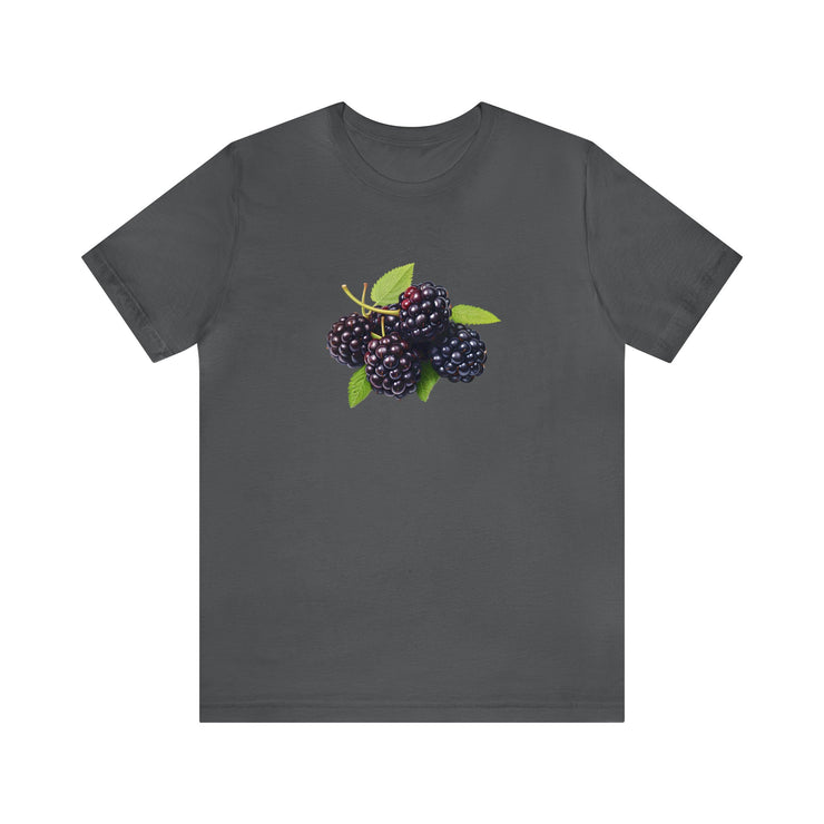 Sweet fruits collection: Ripe Brambles Branch