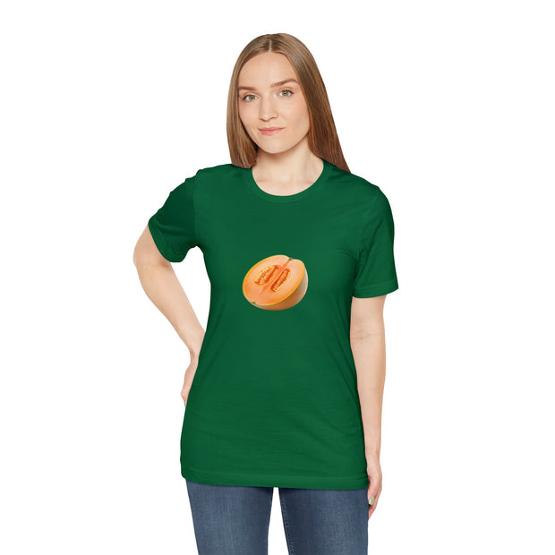 Sweet fruits collection: Ripe Mellon Slice