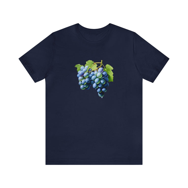 Sweet fruits collection: Blue grapes branches