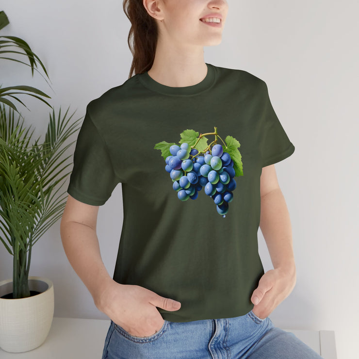 Sweet fruits collection: Blue grapes branches