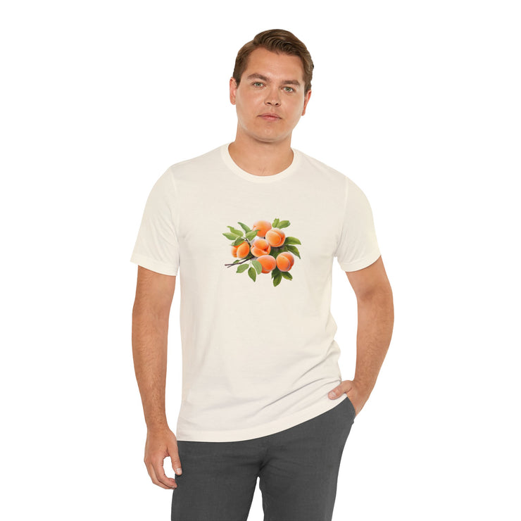 Sweet fruits collection: Branch of ripe apricots