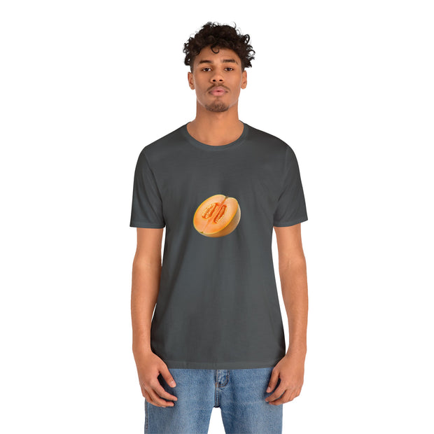 Sweet fruits collection: Ripe Mellon Slice