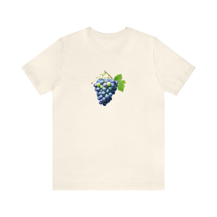 Sweet fruits collection: Blue grapes