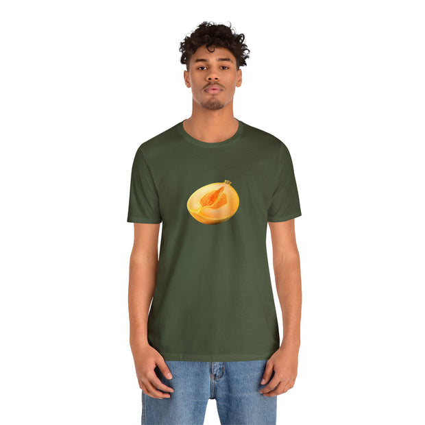 Sweet fruits collection: Yellow Melon Slice