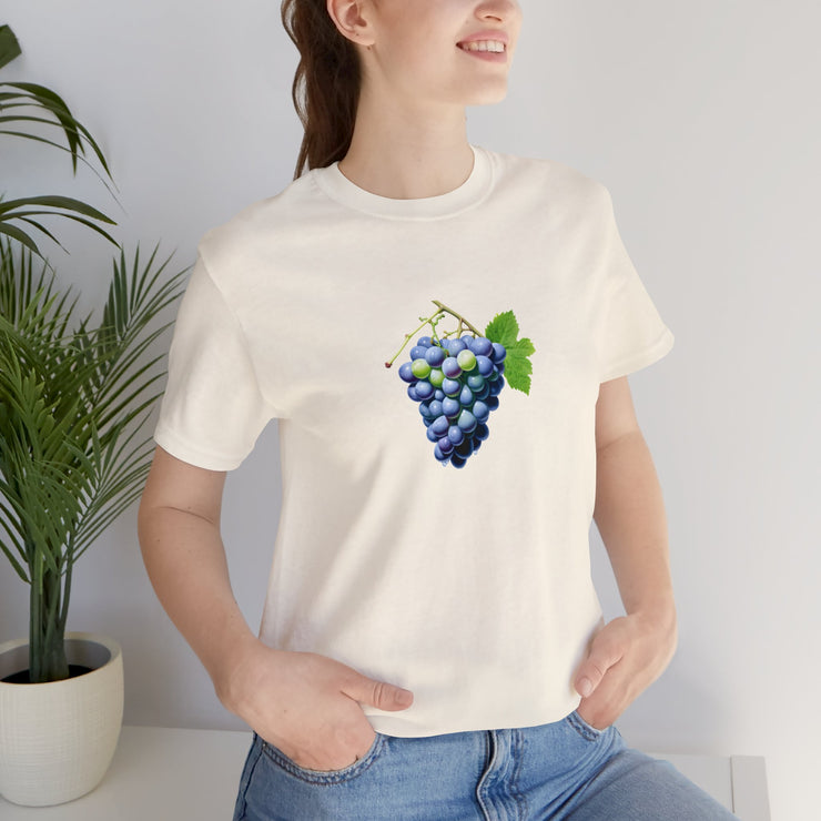 Sweet fruits collection: Blue grapes